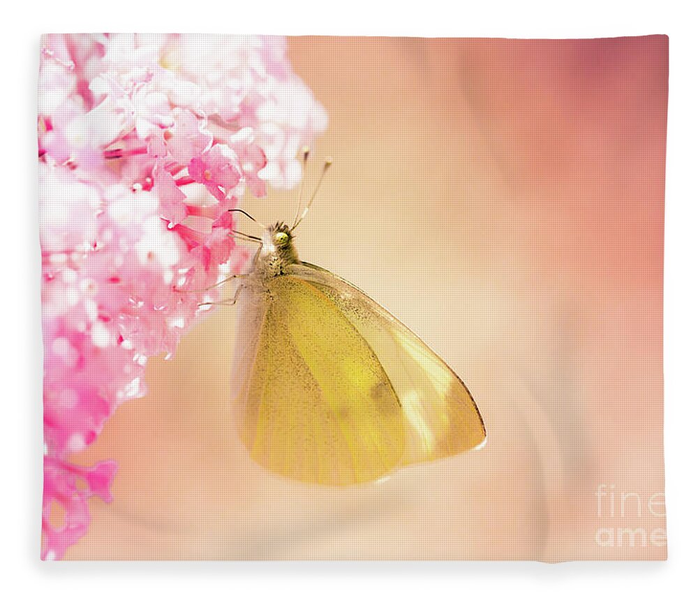 Europe Fleece Blanket featuring the photograph Pieris brassicae, the large white, also called cabbage butterfly #3 by Amanda Mohler