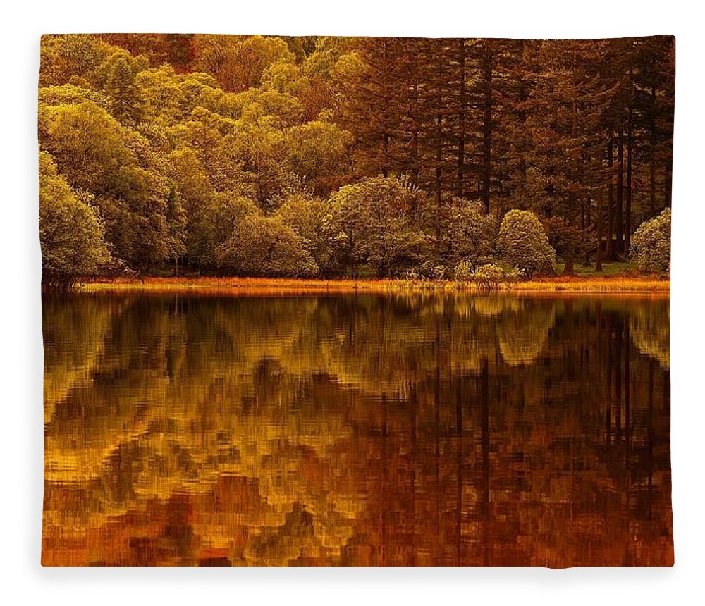 Forest Fleece Blanket featuring the photograph Forest #30 by Jackie Russo