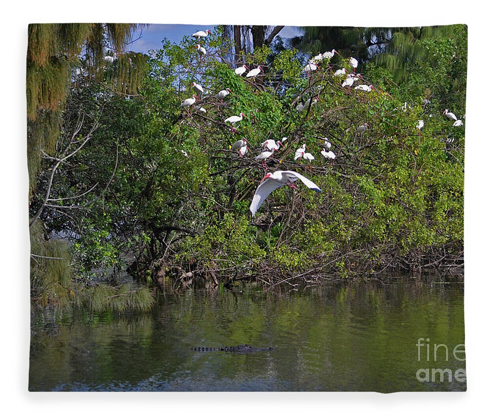  Ibis Fleece Blanket featuring the photograph 38- Alligator and Ibis by Joseph Keane