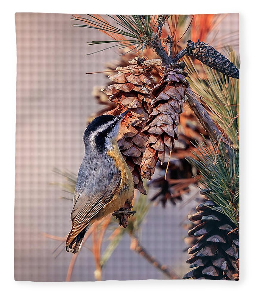 Adorable Fleece Blanket featuring the photograph Black-capped Chickadee #4 by Peter Lakomy