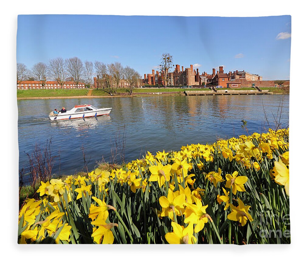 Daffodils Beside The Thames At Hampton Court London Uk Fleece Blanket featuring the photograph Daffodils beside the Thames at Hampton Court London UK #5 by Julia Gavin