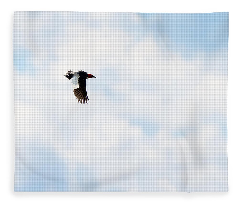 Red-headed Woodpecker Fleece Blanket featuring the photograph Red-Headed Woodpecker #4 by Holden The Moment