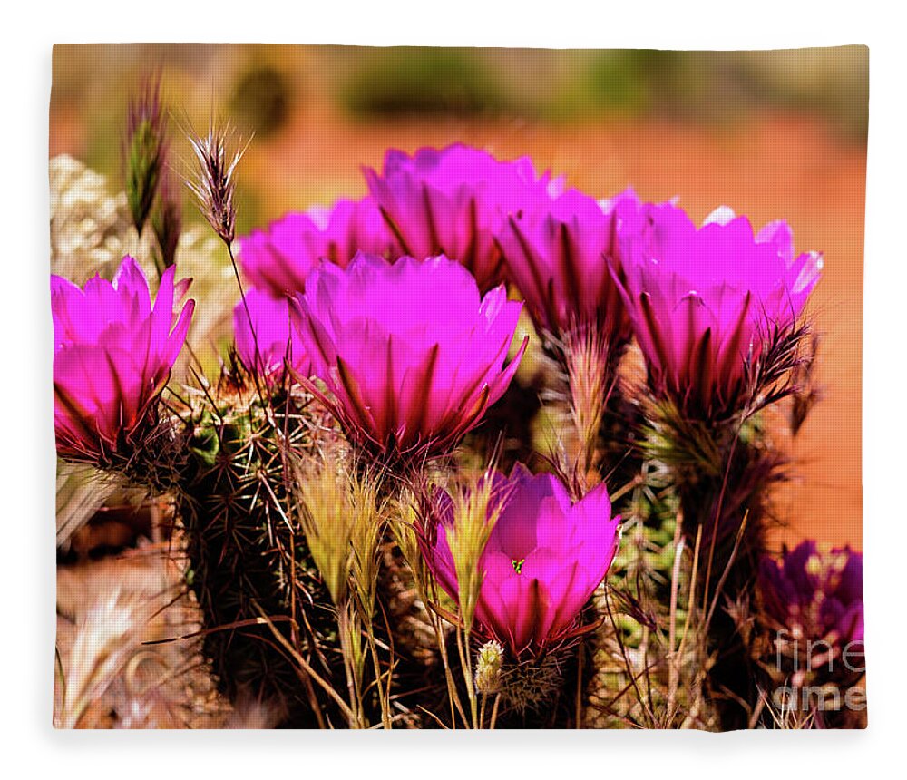 Arizona Fleece Blanket featuring the photograph Sedona Cactus Flower by Raul Rodriguez