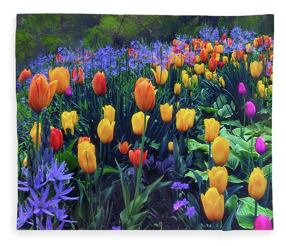Tulips Fleece Blanket featuring the photograph Procession of Tulips by Jessica Jenney