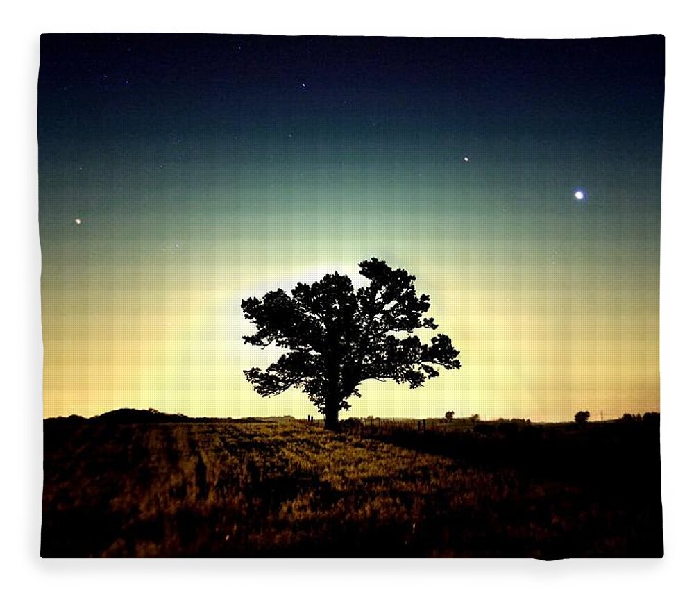 Tree Fleece Blanket featuring the photograph Tree #47 by Jackie Russo