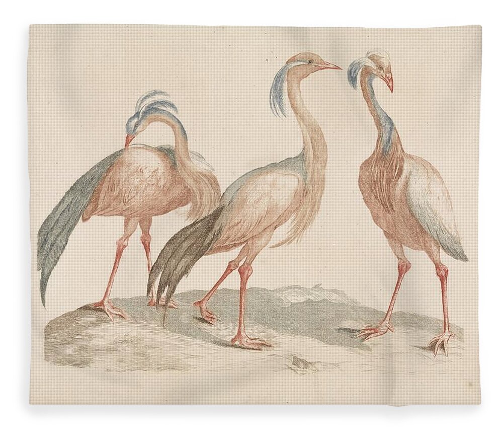 Three Cranes Fleece Blanket featuring the painting Anonymous #5 by MotionAge Designs