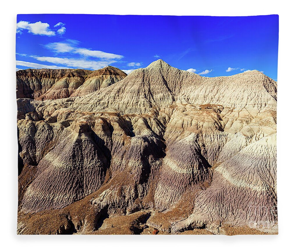 Arizona Fleece Blanket featuring the photograph Arizona Petrified Forest #5 by Raul Rodriguez