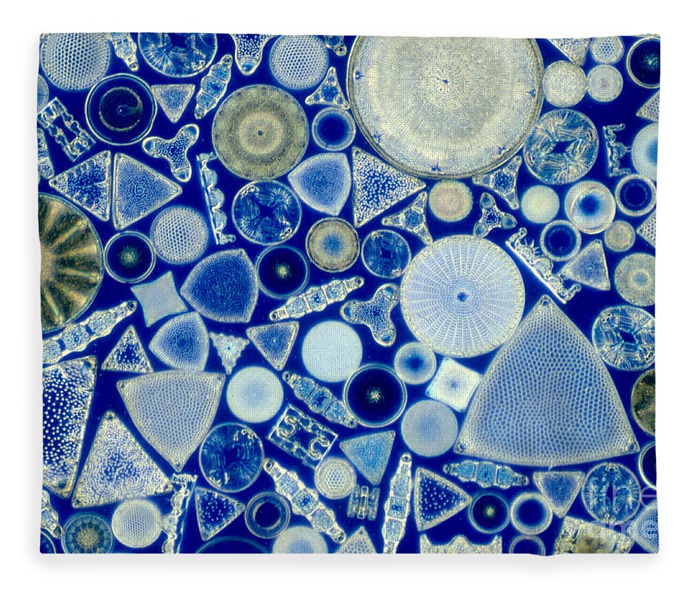 Diatom Fleece Blanket featuring the photograph Diatoms by M. I. Walker