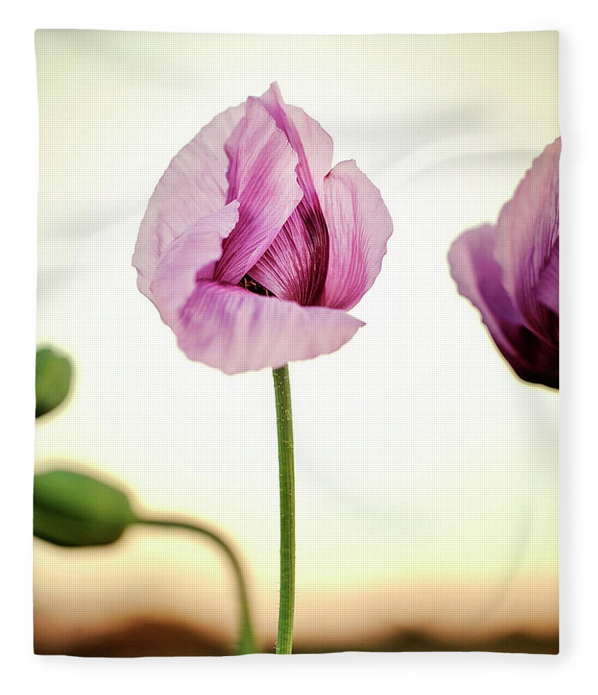 Palatinate Fleece Blanket featuring the photograph Lilac Poppy Flowers #5 by Nailia Schwarz