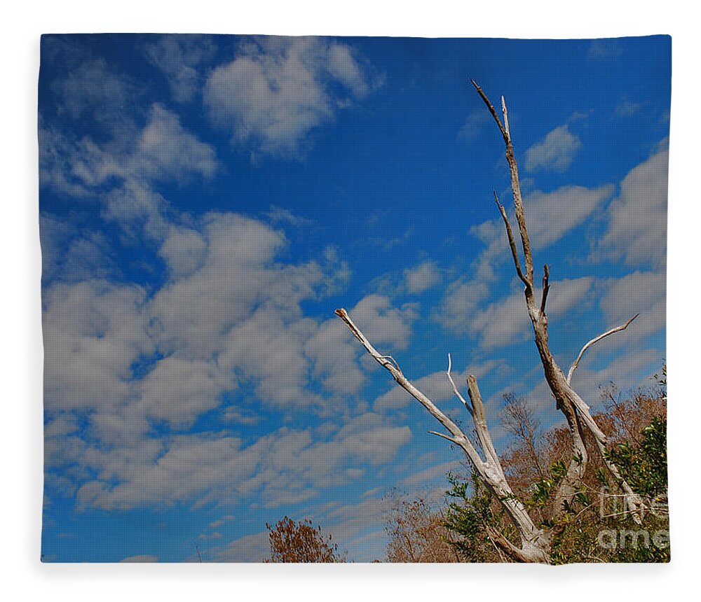 Grassy Waters Preserve Fleece Blanket featuring the photograph 53- Everglades Afternoon by Joseph Keane