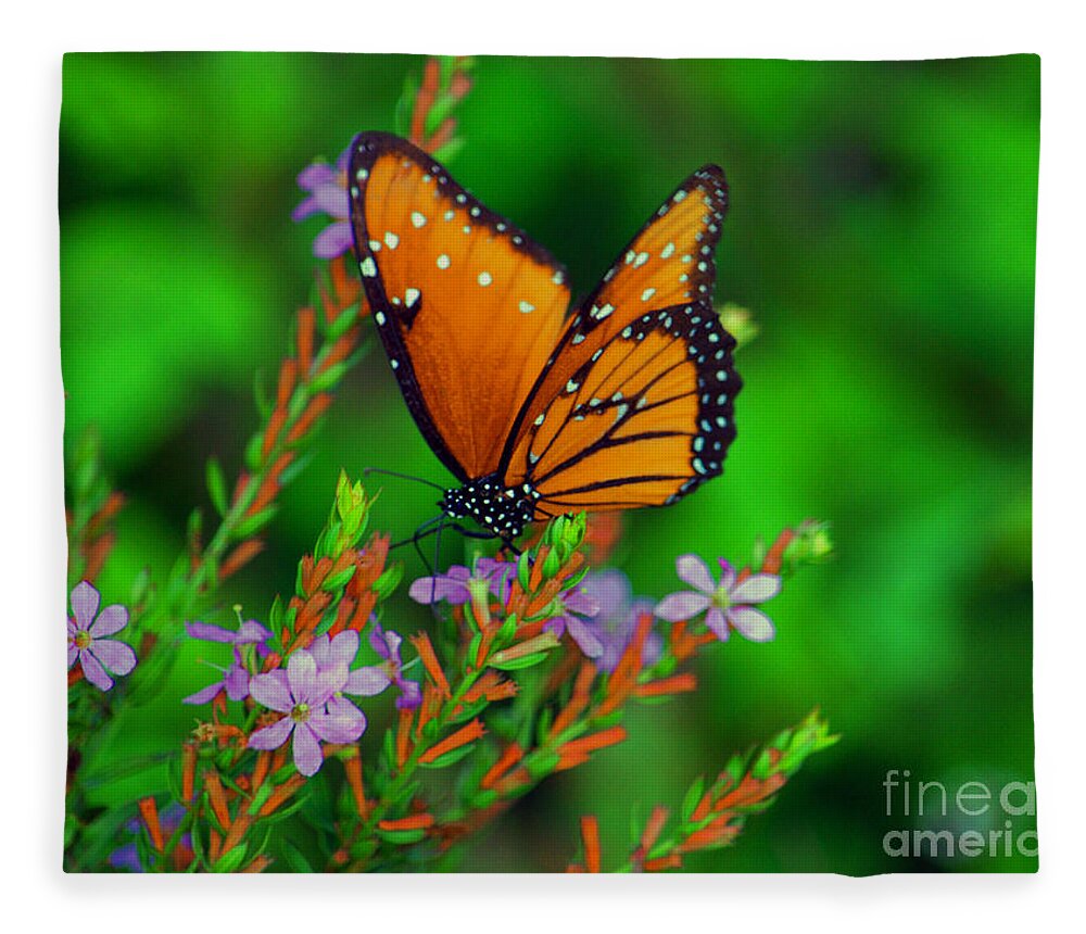 Viceroy Butterfly Fleece Blanket featuring the photograph 56- Viceroy Butterfly by Joseph Keane