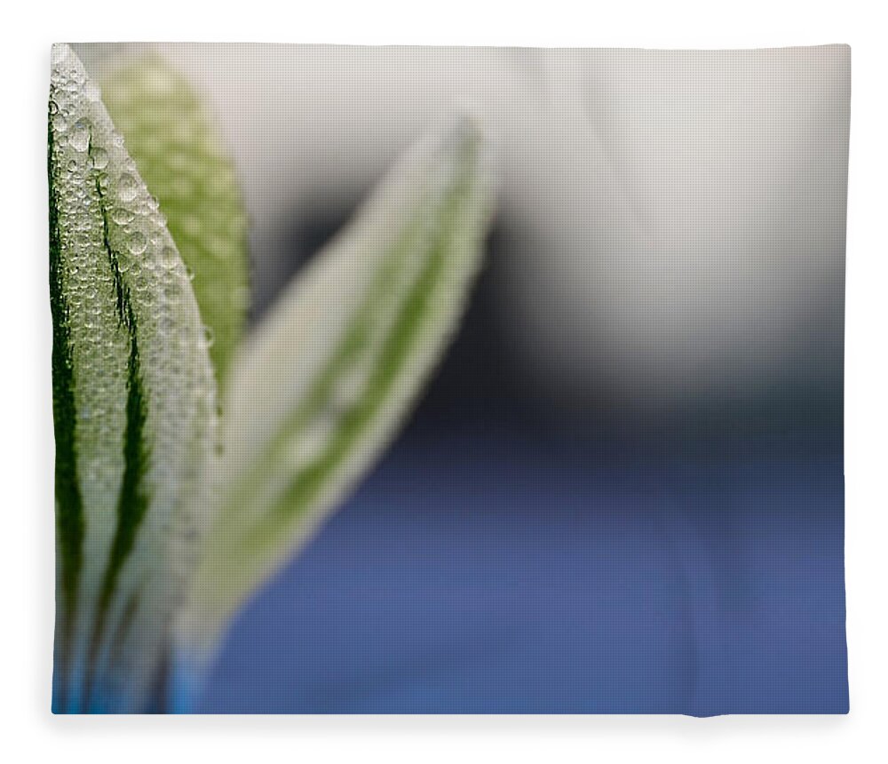 Flower Fleece Blanket featuring the photograph Flower #6 by Jackie Russo