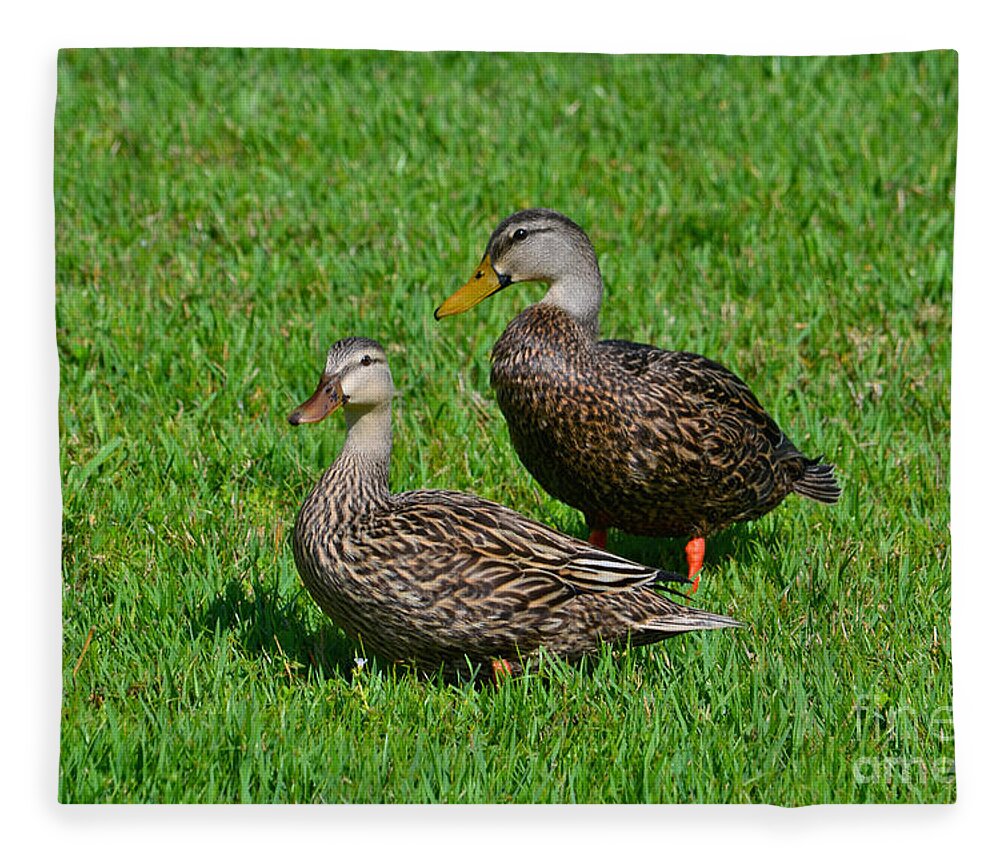 Mottled Ducks Fleece Blanket featuring the photograph 6- Mottled Ducks by Joseph Keane