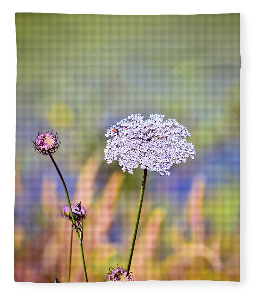 Queen Annes Lace Fleece Blanket featuring the photograph Queen Anne's Lace #6 by Bonnie Bruno