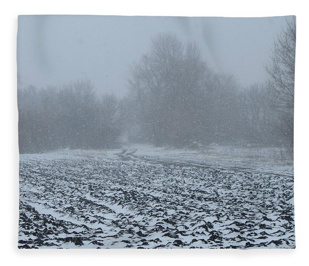 Winter Fleece Blanket featuring the photograph Winter #6 by Jackie Russo