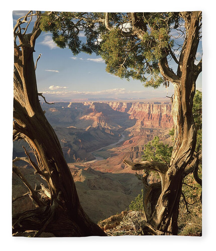 713261 Fleece Blanket featuring the photograph 713261 V Desert View Grand Canyon by Ed Cooper Photography