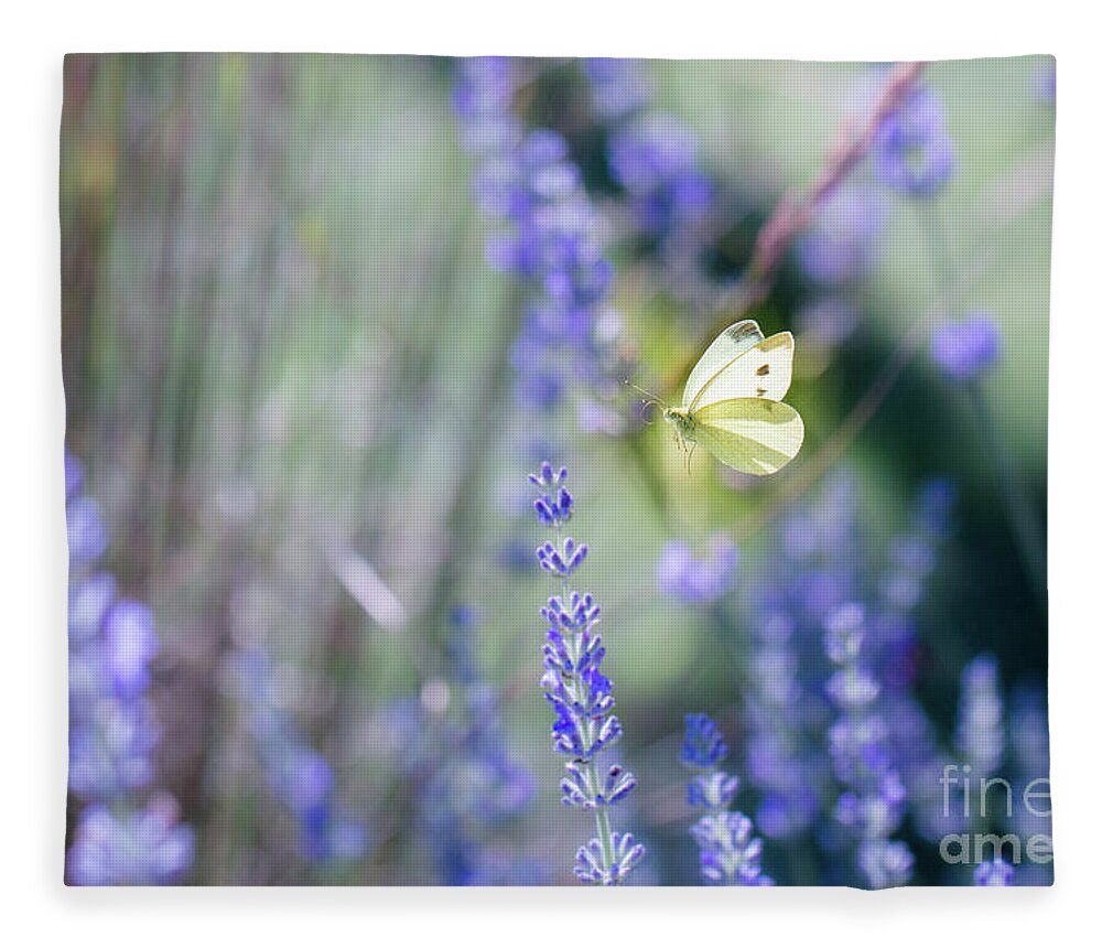 Animal Fleece Blanket featuring the photograph Pieris brassicae, the large white, also called cabbage butterfly #8 by Amanda Mohler