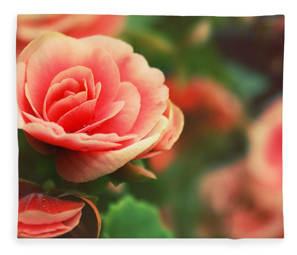 Rose Fleece Blanket featuring the photograph Rose #8 by Jackie Russo