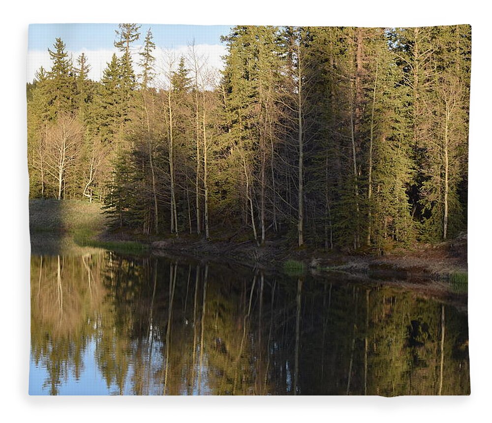 Blue Fleece Blanket featuring the photograph Shadow Reflection Kiddie Pond Divide CO by Margarethe Binkley