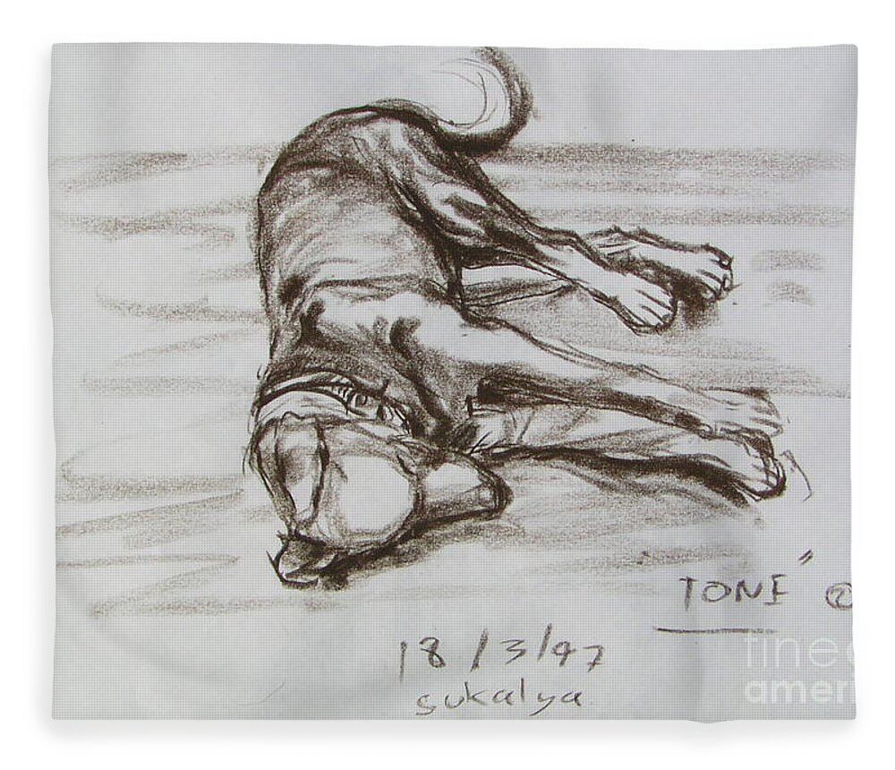 Puppy Fleece Blanket featuring the drawing A Big Puppy by Sukalya Chearanantana