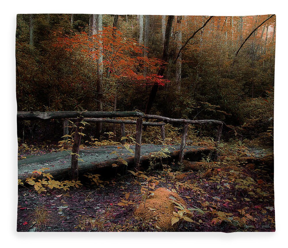 Nature Trail Bridge Fleece Blanket featuring the photograph A Day Hiking by Mike Eingle