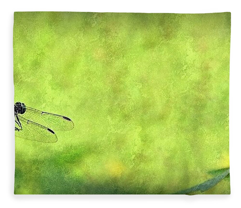 Dragonfly Fleece Blanket featuring the photograph A Day In The Swamp by Mark Fuller