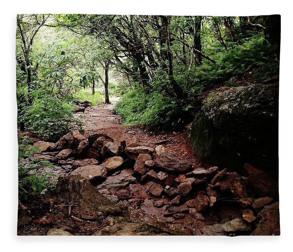 Trail Fleece Blanket featuring the photograph A Favorite Trail by Anita Adams