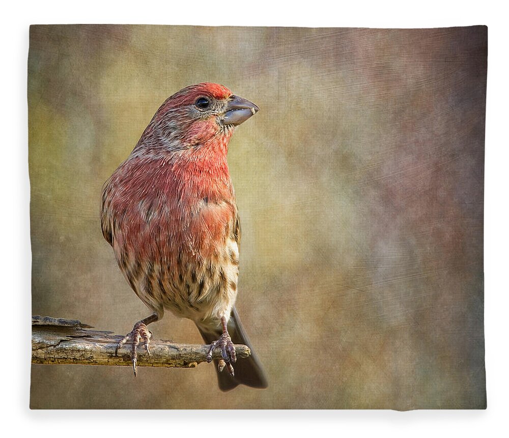 Carpodacus Fleece Blanket featuring the photograph A Finch With Flair by Bill and Linda Tiepelman