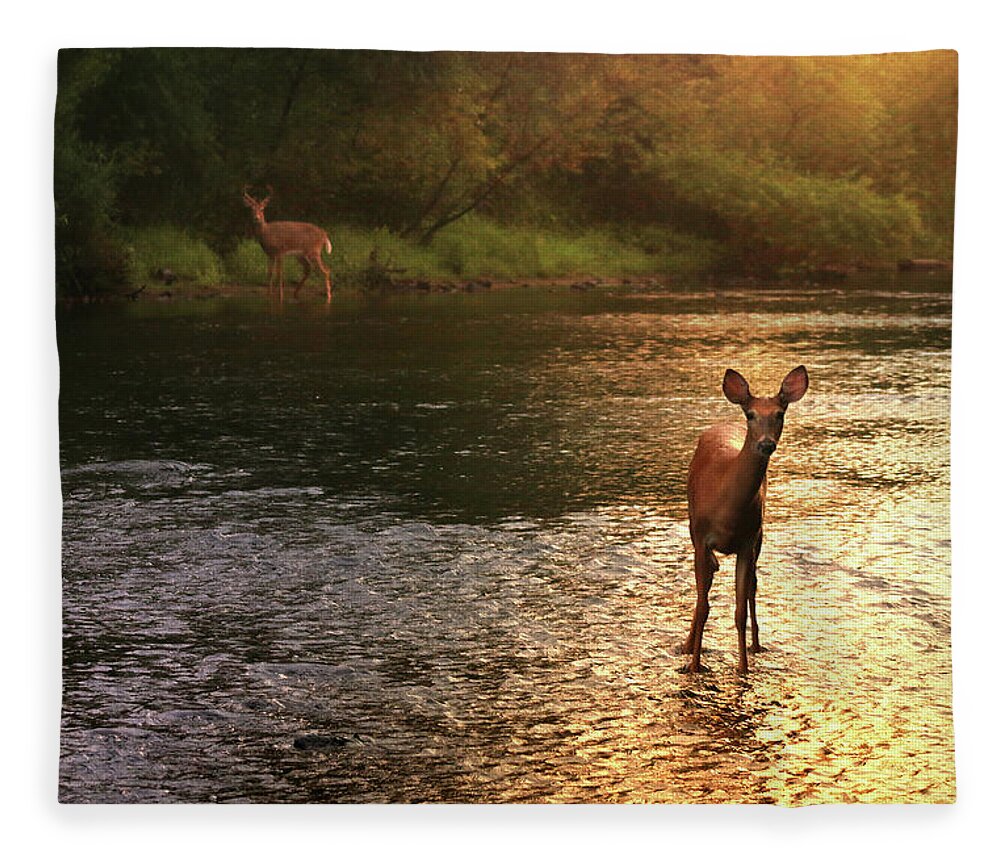 Deer Fleece Blanket featuring the photograph A Fleeting Moment by Rob Blair
