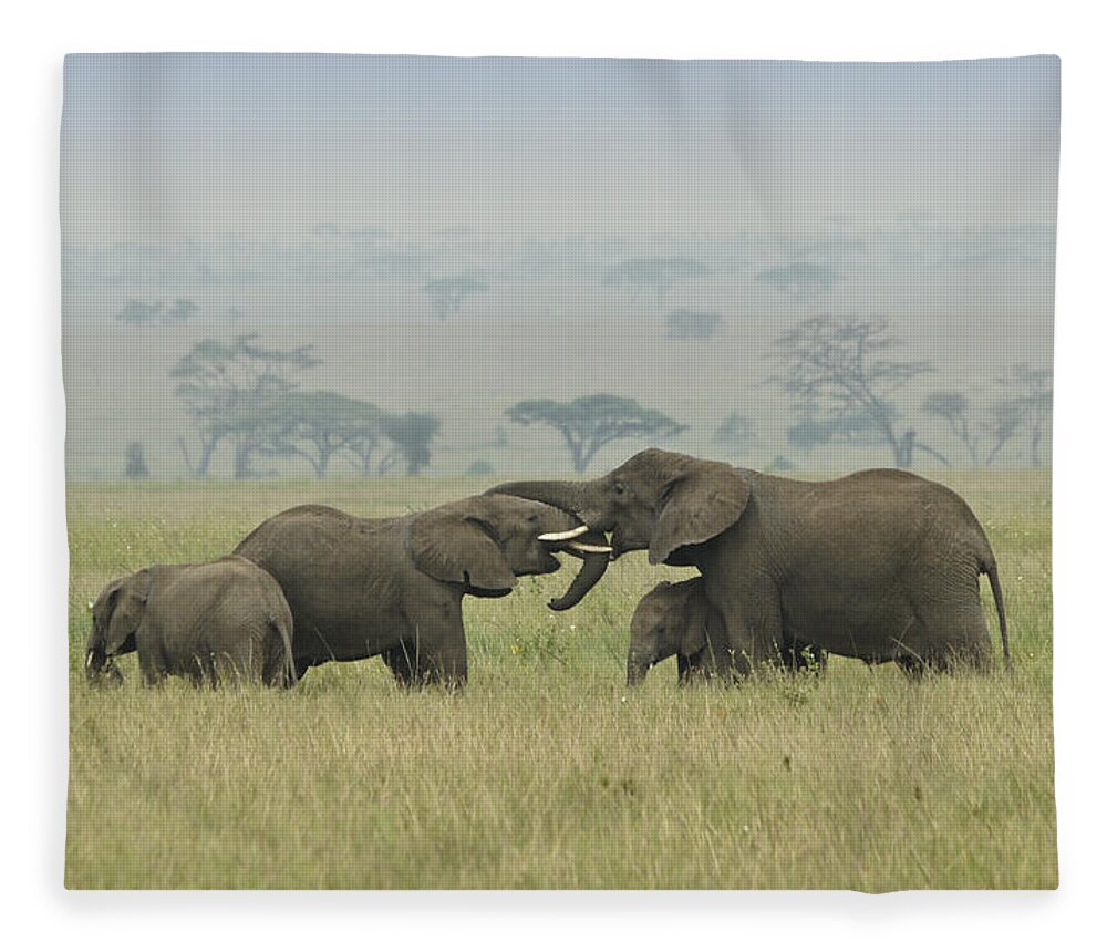 Africa Fleece Blanket featuring the photograph A Friendly Little Get-Together by Michele Burgess