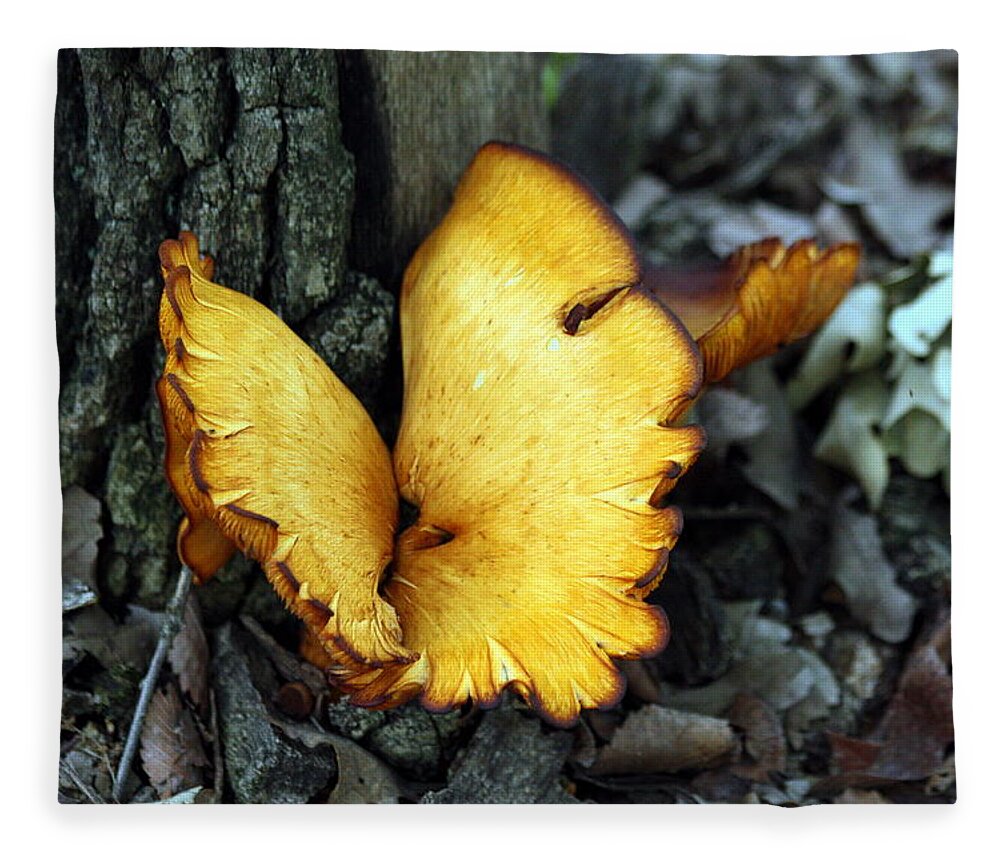 Nature Fleece Blanket featuring the photograph A Golden Butterfly Mushroom by Sheila Brown