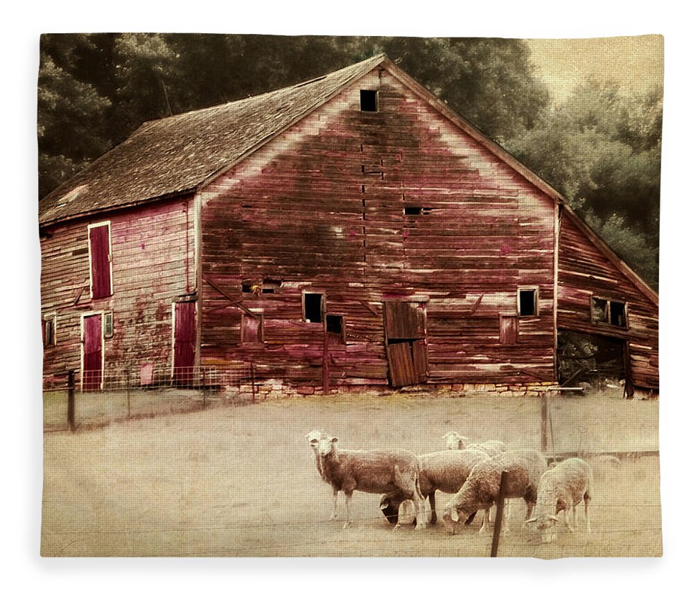 Barn Fleece Blanket featuring the photograph A Grazy Day by Julie Hamilton