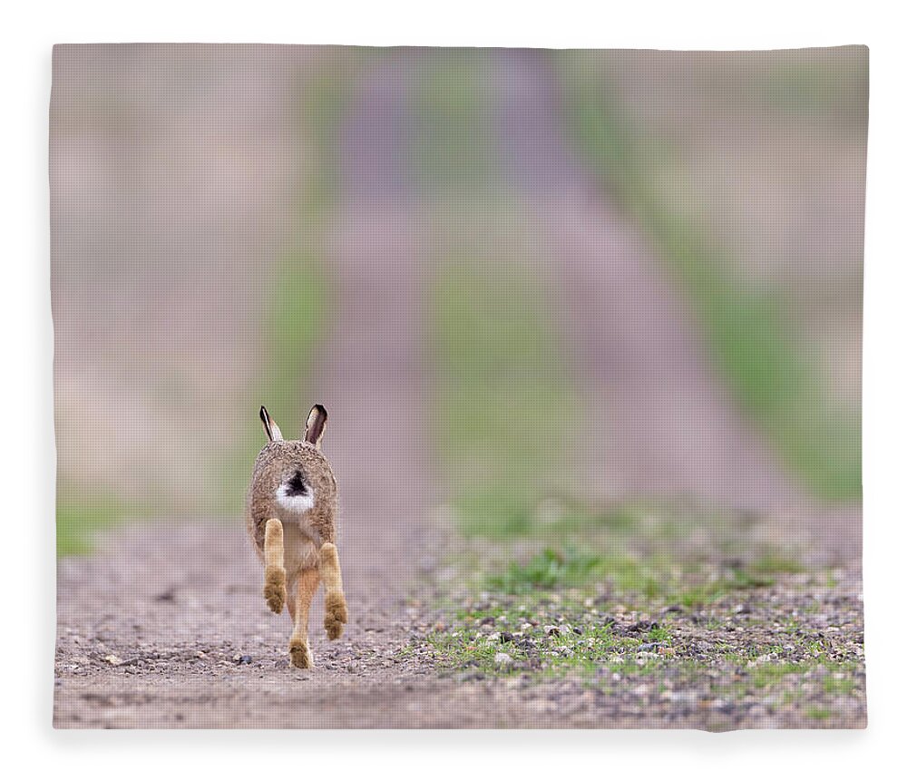 Brown Fleece Blanket featuring the photograph A Hare's Tail by Pete Walkden
