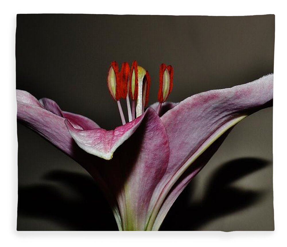 Flowers Fleece Blanket featuring the photograph A Lily by Eileen Brymer