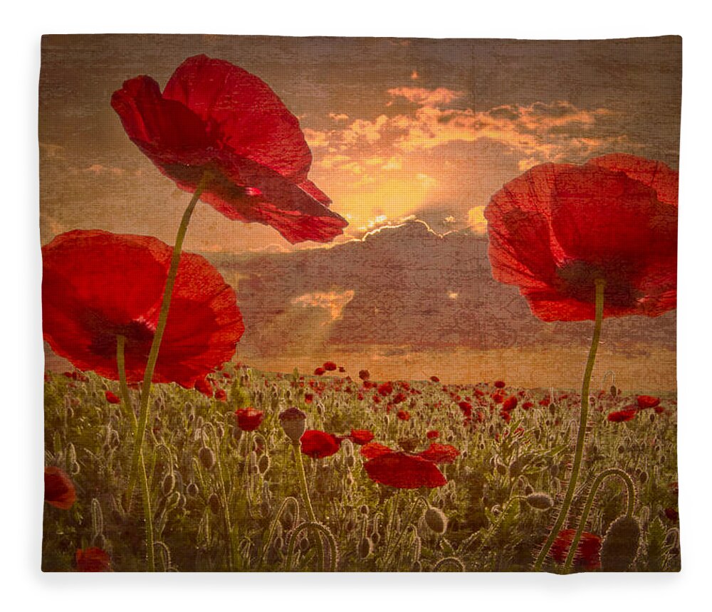 Appalachia Fleece Blanket featuring the photograph A Poppy Kind of Morning by Debra and Dave Vanderlaan