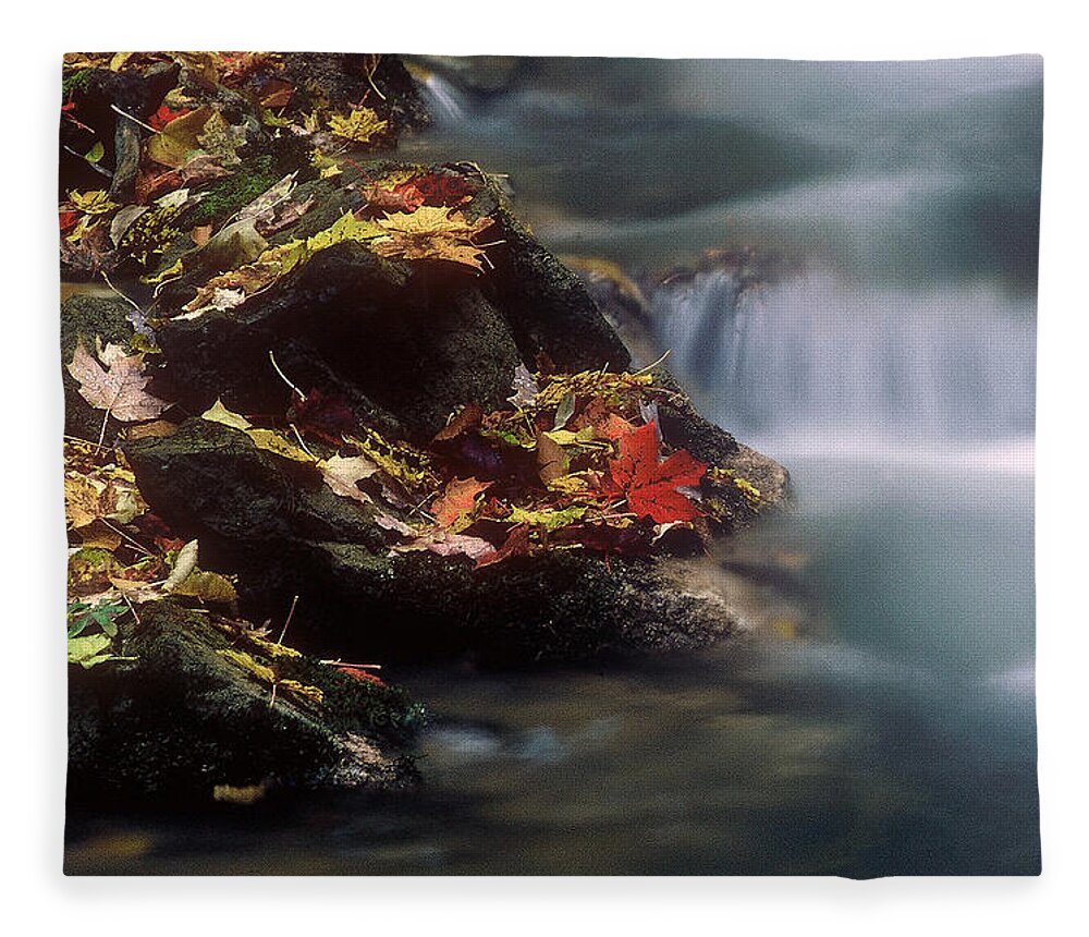 River Fleece Blanket featuring the photograph A Special Place by DArcy Evans