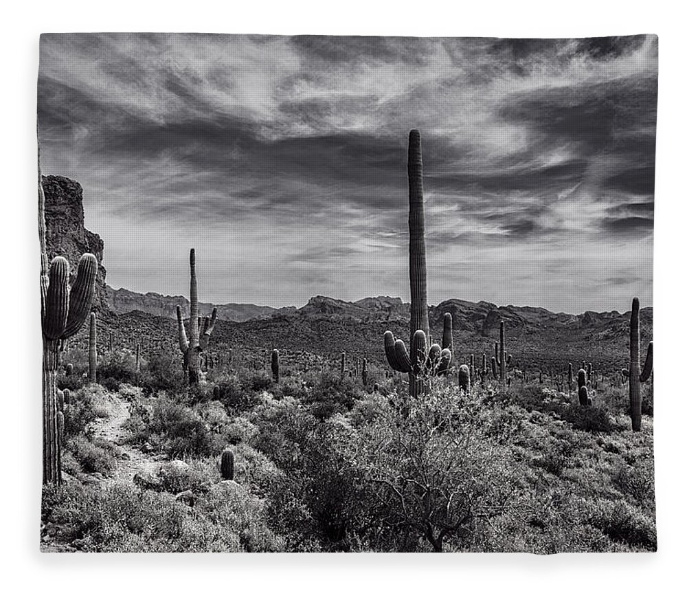 Arizona Fleece Blanket featuring the photograph A Morning Hike in the Superstition in Black and White by Saija Lehtonen