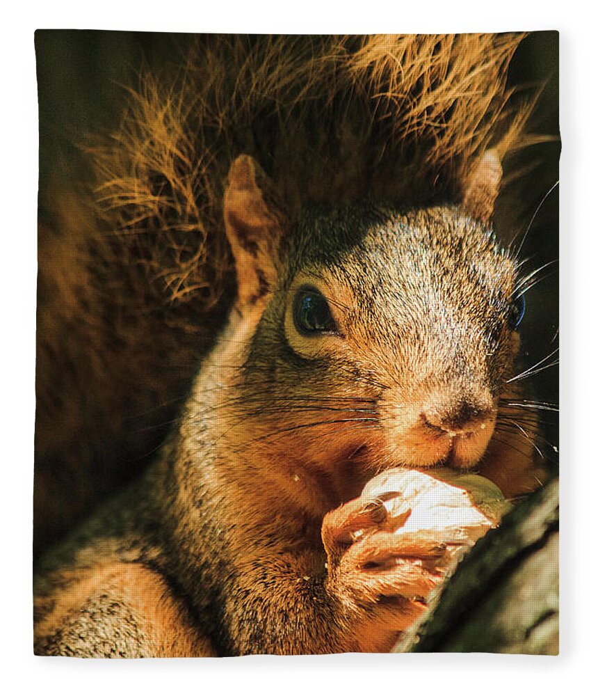 Illinois Fleece Blanket featuring the photograph A Squirrel and his Nut by Joni Eskridge