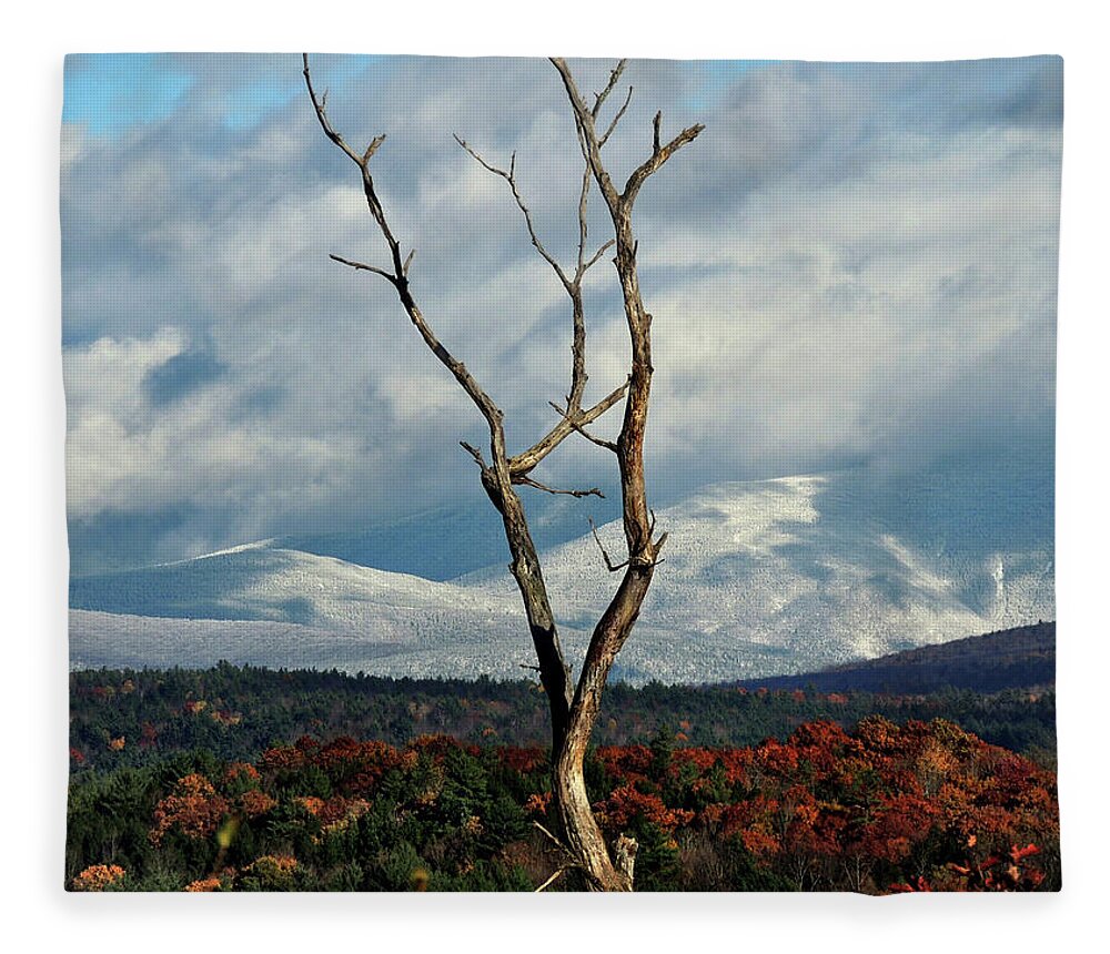 Autumn Fleece Blanket featuring the photograph A Trees View by Nancy Griswold