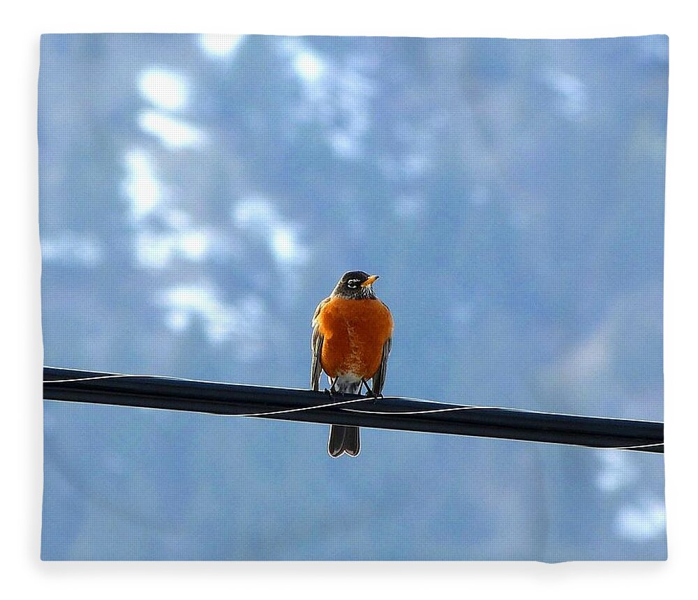 Robin Fleece Blanket featuring the photograph A Welcome Sign by Will Borden