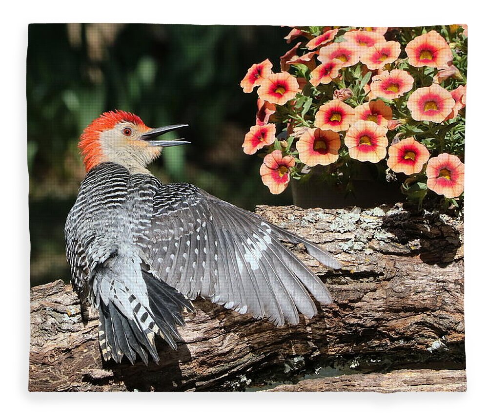 Nature Fleece Blanket featuring the photograph A Woodpecker Conversation by Sheila Brown