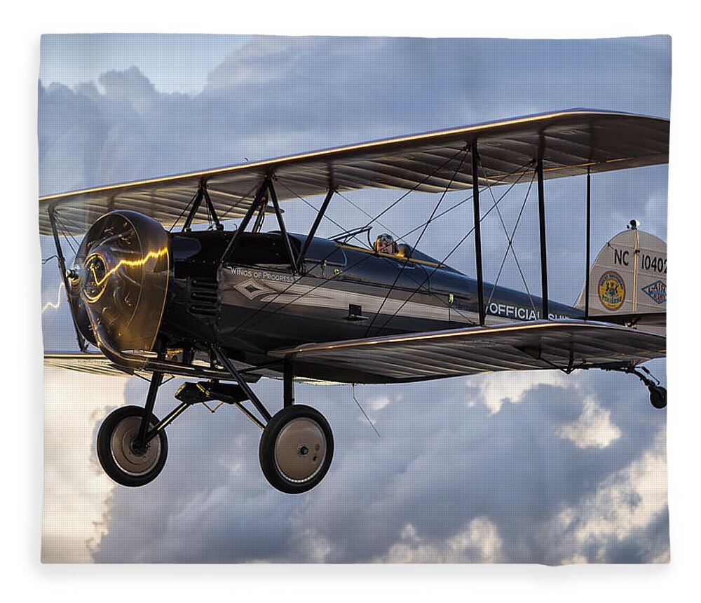 1930 Fleece Blanket featuring the photograph Above It All by Jay Beckman