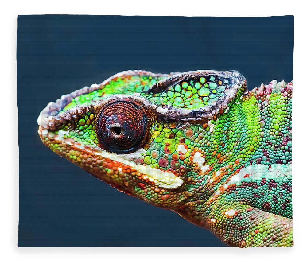 African Chameleon Fleece Blanket featuring the photograph African Chameleon by Richard Goldman