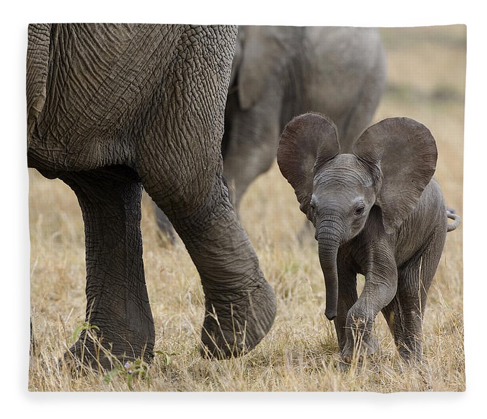 00784043 Fleece Blanket featuring the photograph African Elephant Mother And Under 3 by Suzi Eszterhas