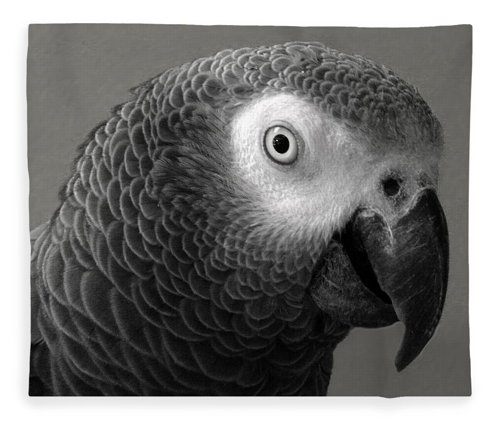 African Gray Fleece Blanket featuring the photograph African Gray by Sandi OReilly