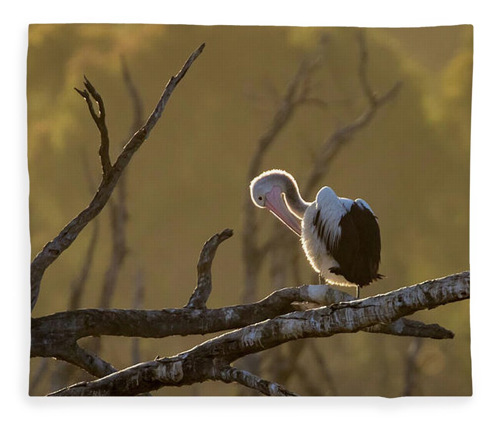 Pelican Fleece Blanket featuring the photograph Against the Light by Diana Andersen