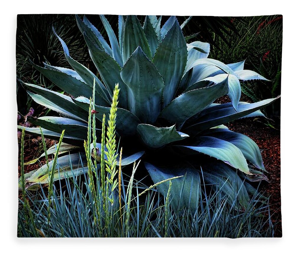  Maguey Plant Fleece Blanket featuring the photograph Agave Americana by Diana Mary Sharpton