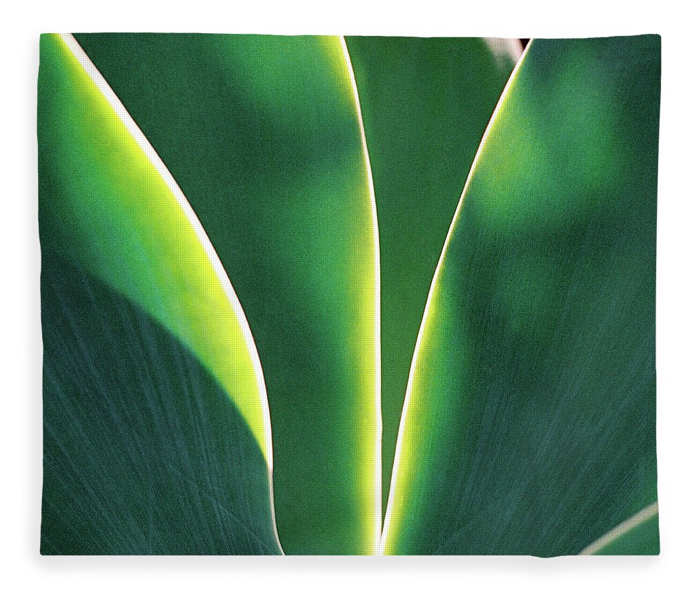 Surfing Fleece Blanket featuring the photograph Agave by Nik West