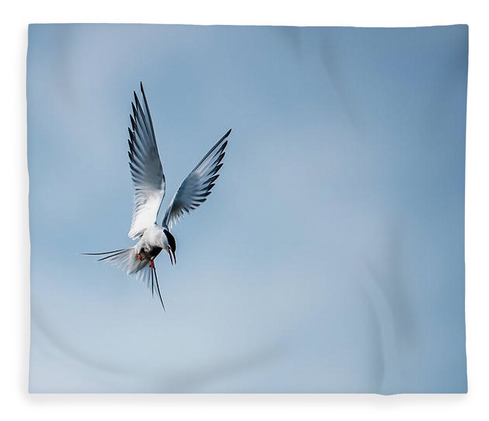 Aha A Fish Fleece Blanket featuring the photograph Aha a fish by Torbjorn Swenelius