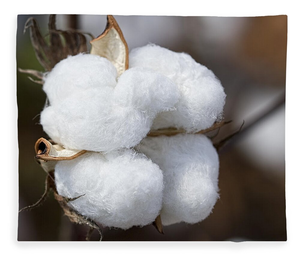 Cotton Fleece Blanket featuring the photograph Alabama Cotton Boll by Kathy Clark